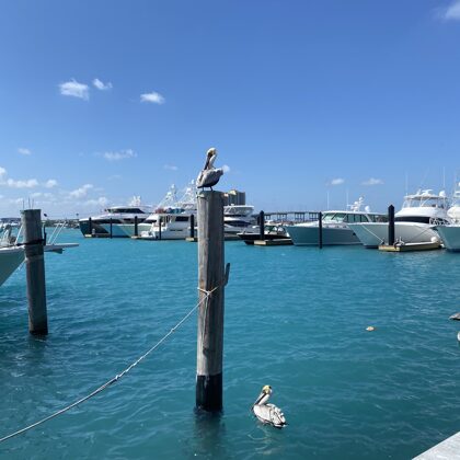 Palm Beach Shores, Florida 2021