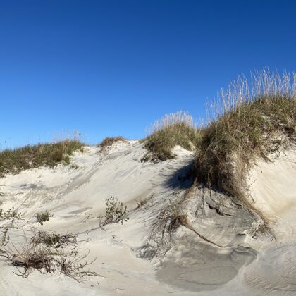 Sand Dunes in Outer Banks, North Carolina 2020