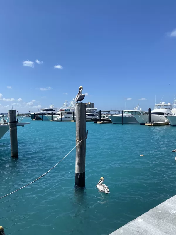 Palm Beach Shores, Florida 2021