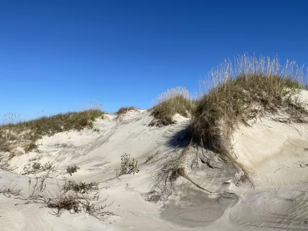 Sand Dunes in Outer Banks, North Carolina 2020
